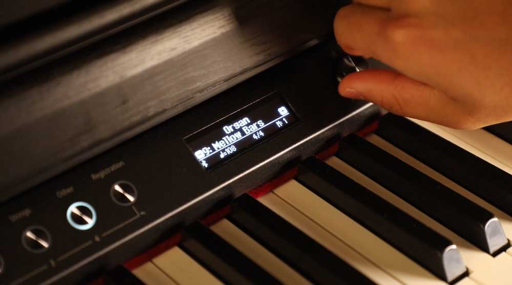 ROLAND HP704 CH 