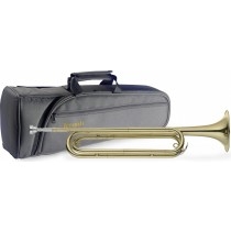 autres trompettes