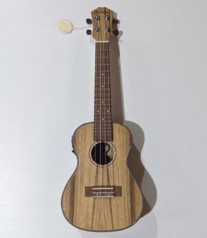 ALABAMA FZU-DA20CCEWD ukulele concert électro