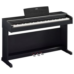 pianos numériques - Nuostore