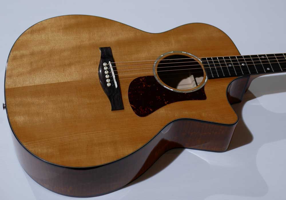 EASTMAN PCH3-GACE TRUETONE GLOSS Amberburst EASTMAN PCH3-GACE TRUETONE GLOSS Amberburst
