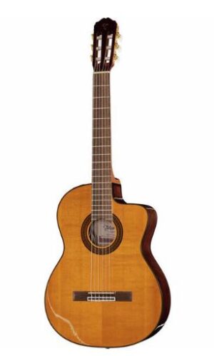 TAKAMINE GC5CE-NAT nylon électro